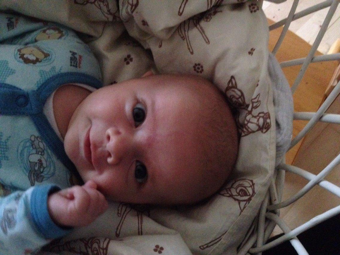 Dreng Alec Kristian OFarrell billede 18