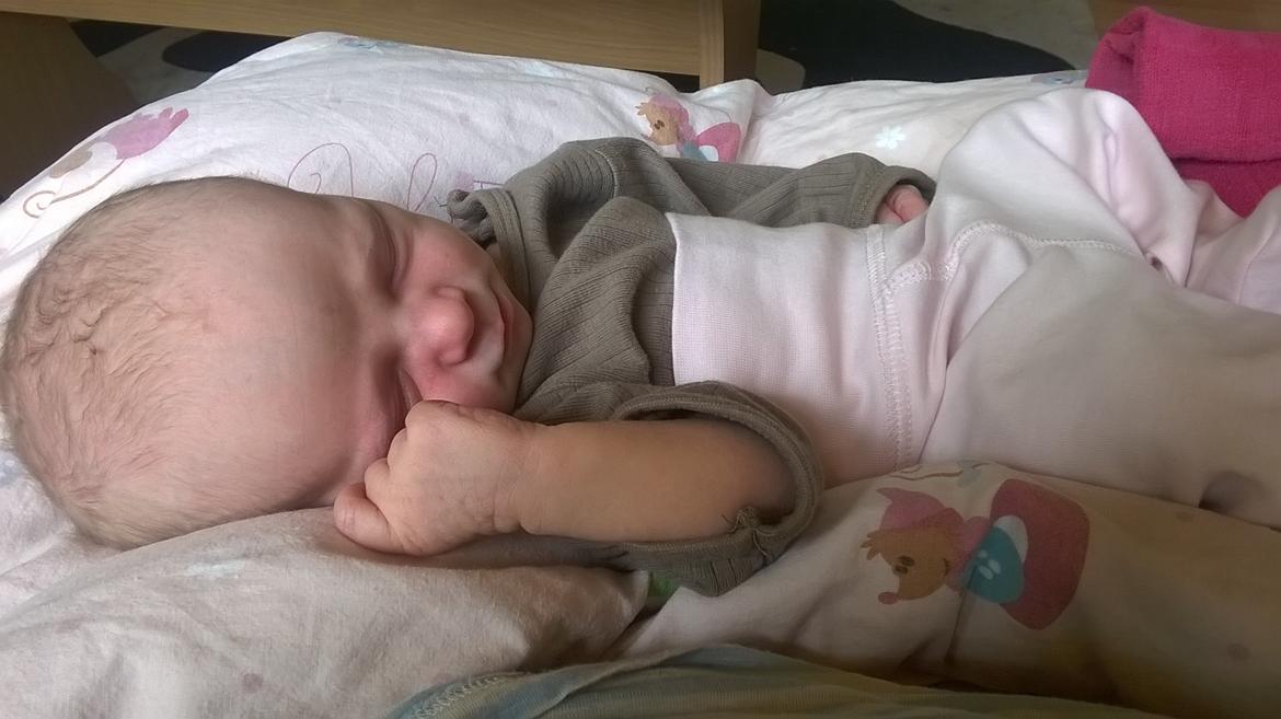 Pige Sophia billede 6