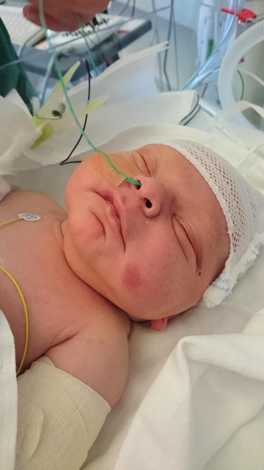 Dreng Mathias Lærkegaard Jensen billede 1