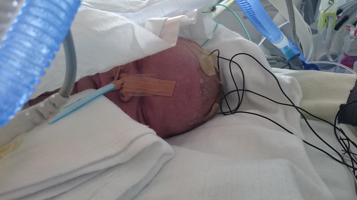 Dreng Mathias Lærkegaard Jensen billede 2