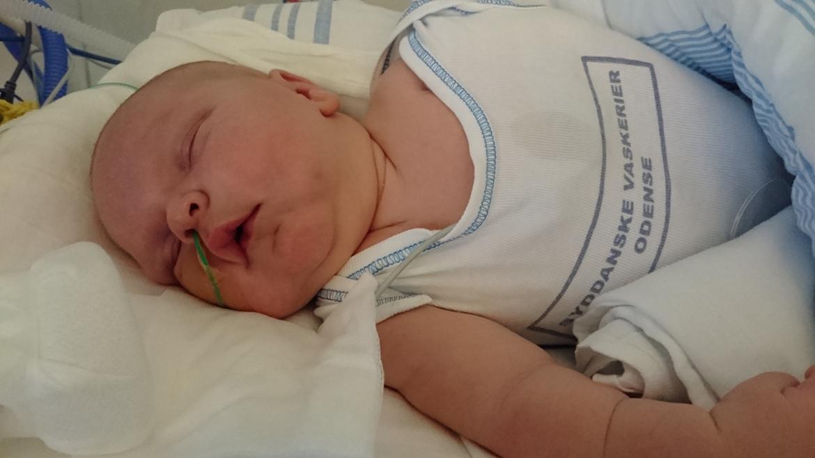 Dreng Mathias Lærkegaard Jensen billede 11