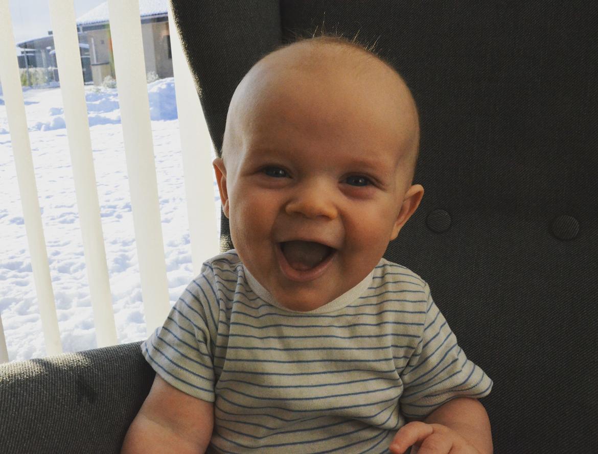 Dreng Theodor - 6 måneder gammel. billede 15
