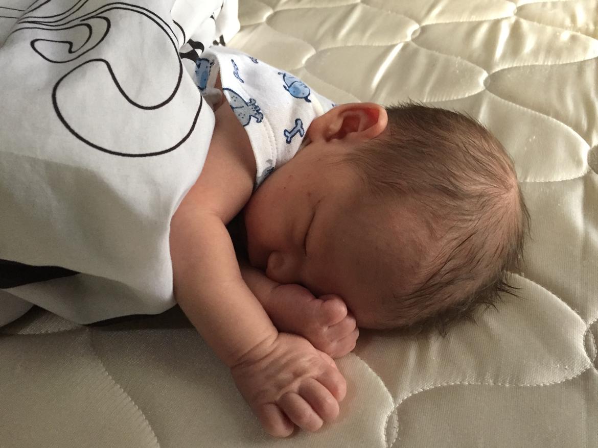 Dreng Diego Enrique Fernandez  billede 18