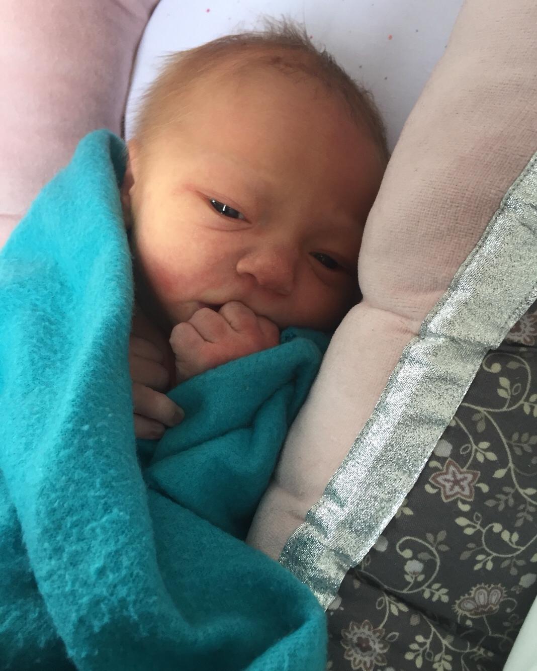 Pige Johanne billede 2