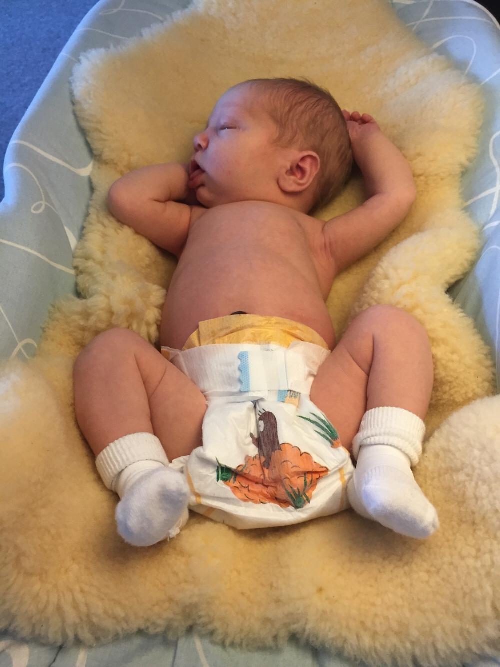 Pige Johanne billede 4