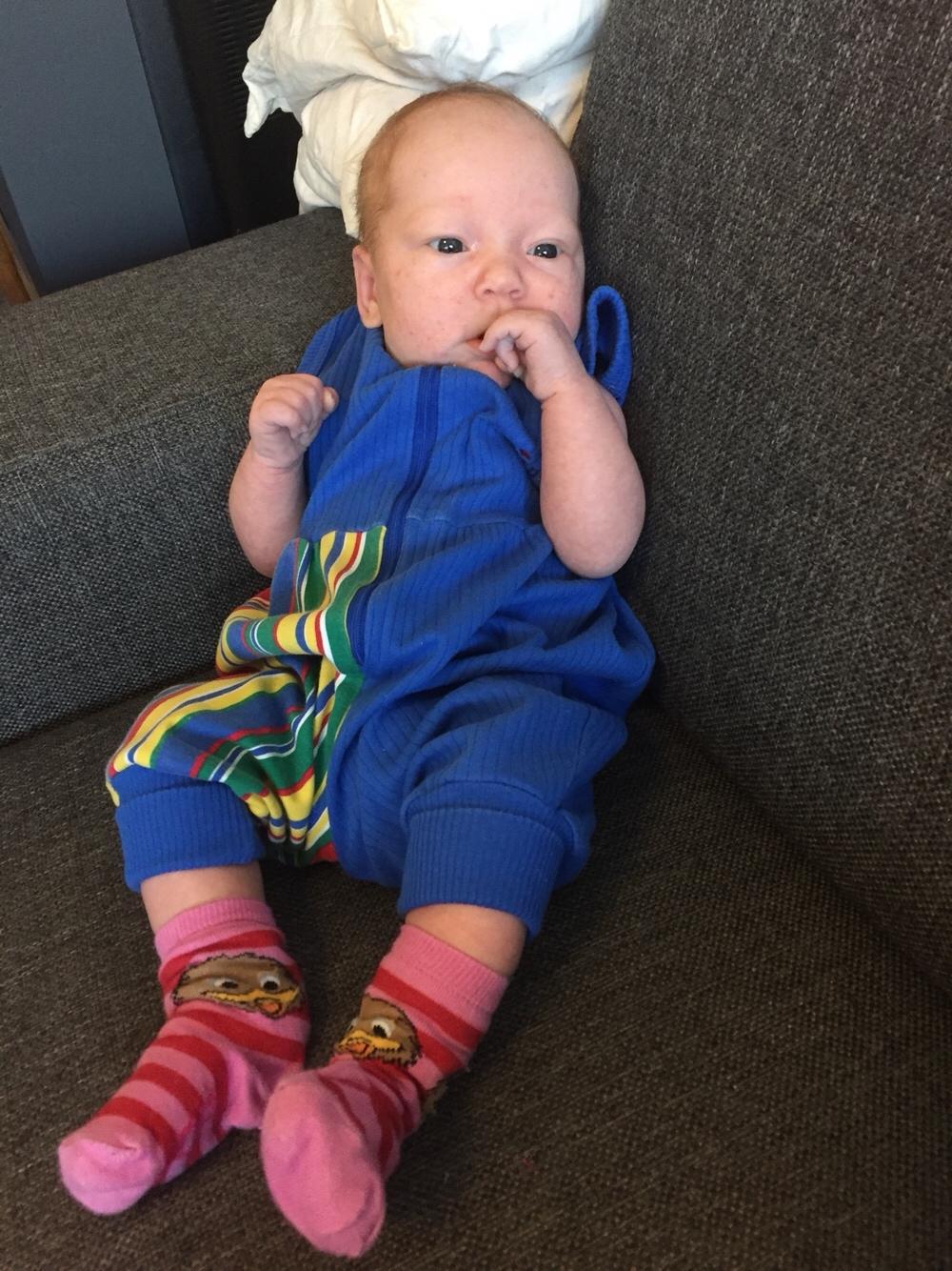 Pige Johanne billede 7