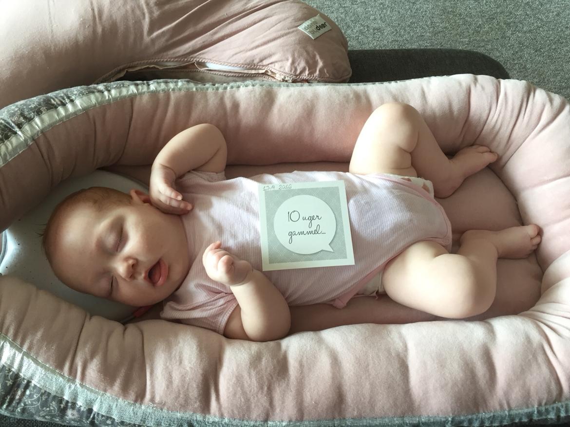 Pige Johanne billede 16