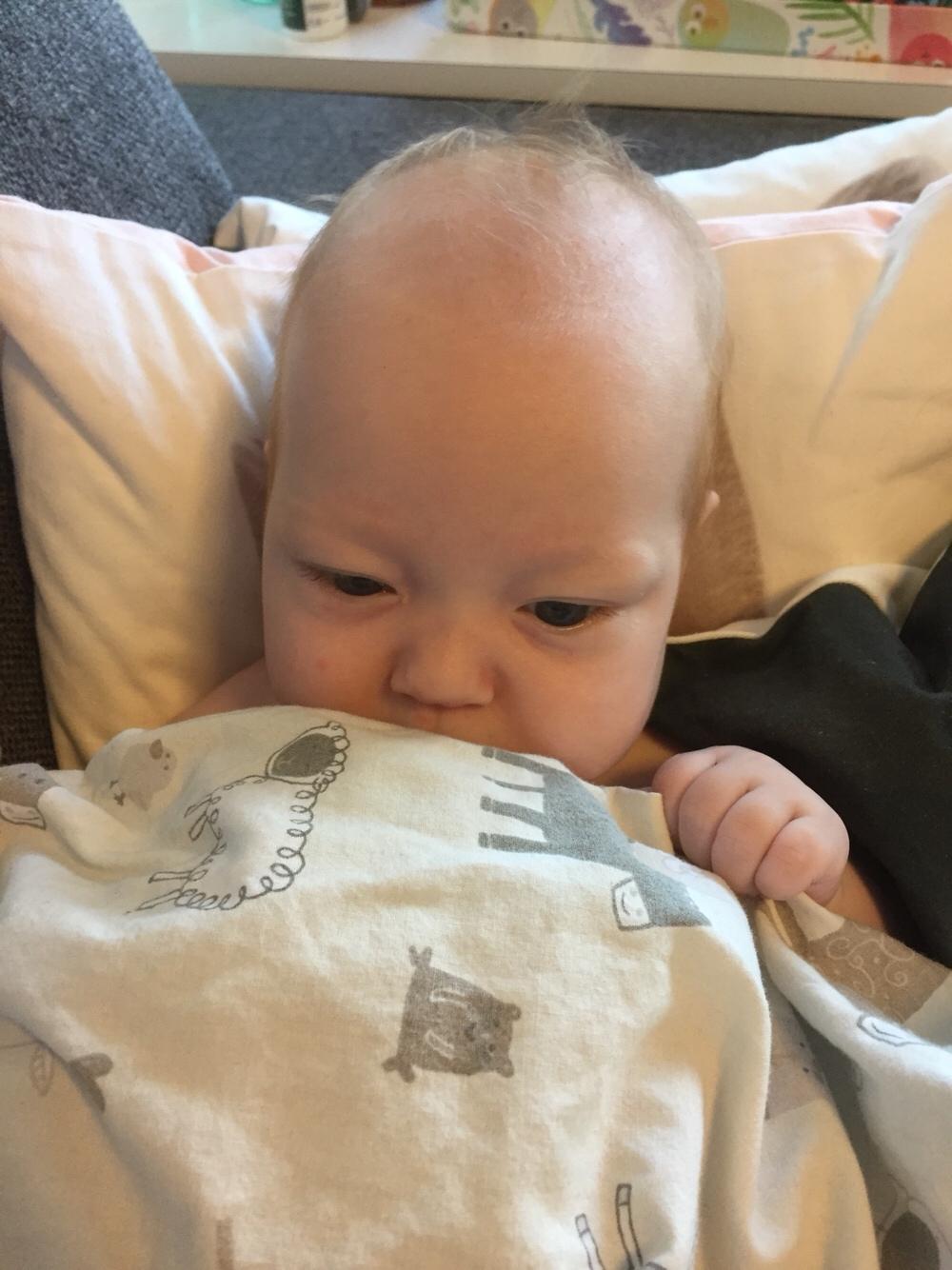 Pige Johanne billede 23