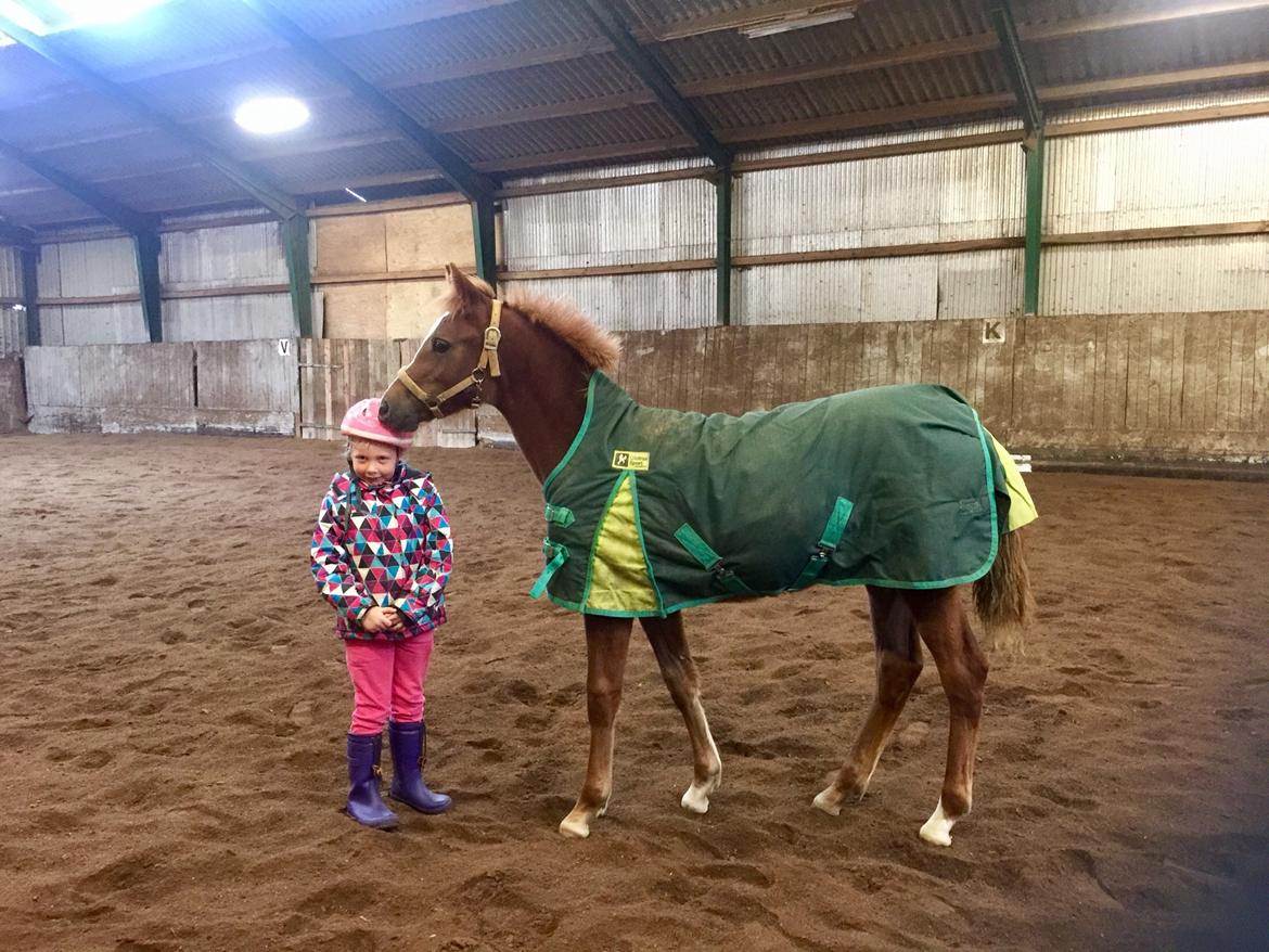 Pige Freja billede 13