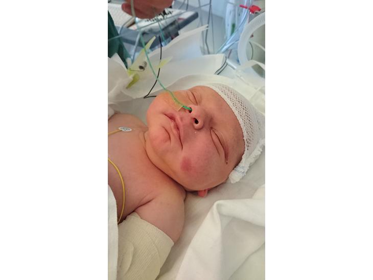 {{currentPhoto.altText}} billede {{currentPhoto.number}}