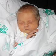 Dreng Noah