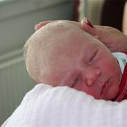 Pige Cecilie