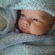 Dreng Benjamin Zhall