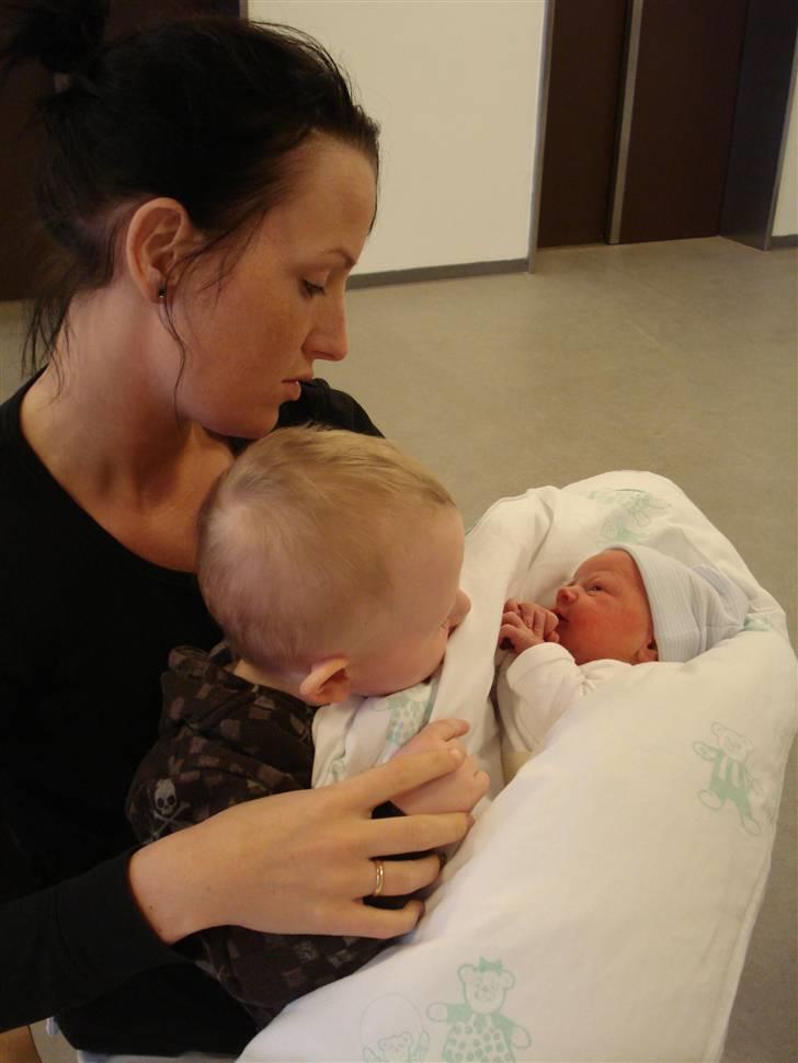 Dreng Caleb Nørlund Thomsen - Mosser Minnie, Fætter Marcus og Caleb :) billede 6