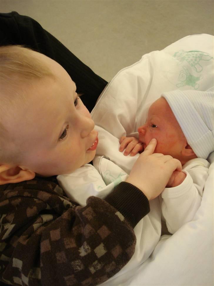 Dreng Caleb Nørlund Thomsen - Fætter Marcus og Caleb <3 billede 9