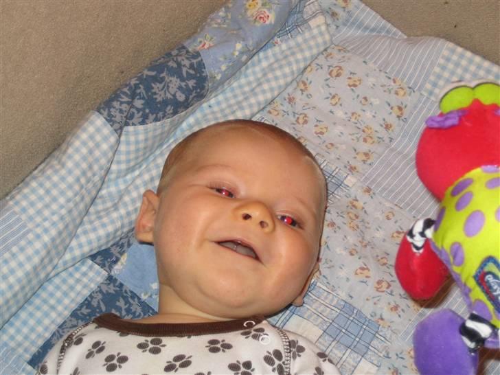 Dreng Frederik - Sjovt at være på besøg hos mormor og bedstefar billede 14