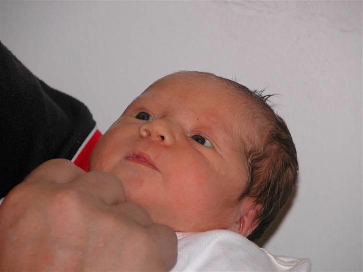 Pige Emily Rose Dalgaard - Emily 2 døgn billede 6