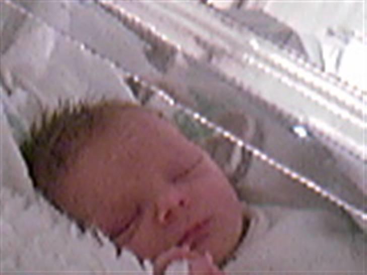 Pige Ditte Fuglsang Larsen - Babyen Ditte, kun et par dage gammel billede 3