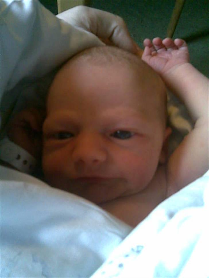 Pige Freya Elly Thorgaard - her er hun ca 20 timer gammel.... billede 1