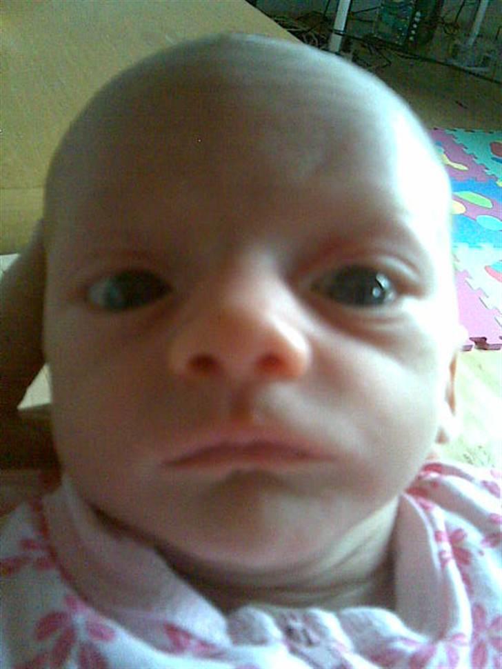 Pige Freya Elly Thorgaard billede 2