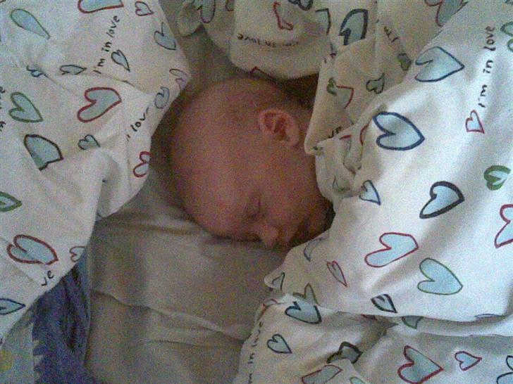 Pige Freya Elly Thorgaard - elsker at sove i mors dyne om formiddagen... billede 3