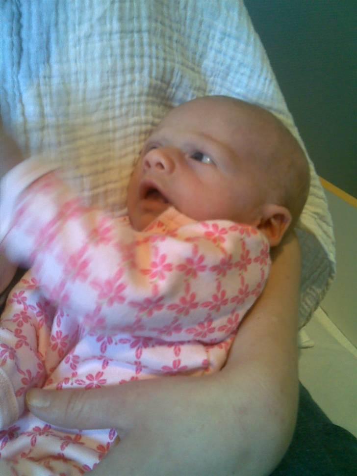 Pige Freya Elly Thorgaard - Freya hygger ved den Seje onkel... billede 6