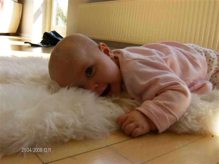 Pige Melina billede 1