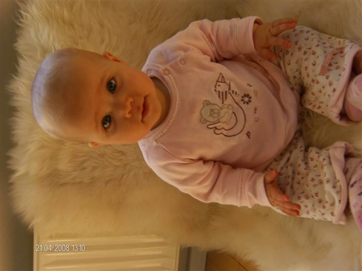 Pige Melina billede 2