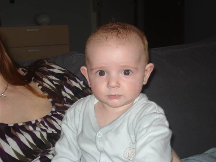 Dreng Alexander billede 16