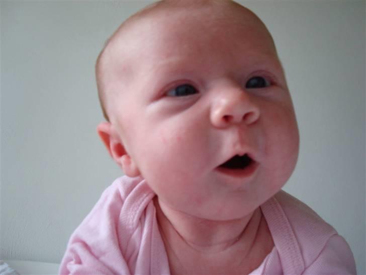 Pige Natascha - 1 måned gammel billede 6