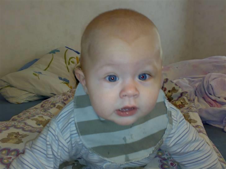 Dreng magnus - godmorgen, så er jeg klar til at lave lidt mere ballade. billede 10