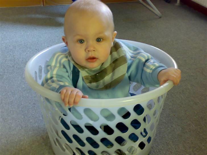 Dreng magnus - magnus måtte lige en tur i vasketøjskurven, synes den var meget spændende.. billede 11