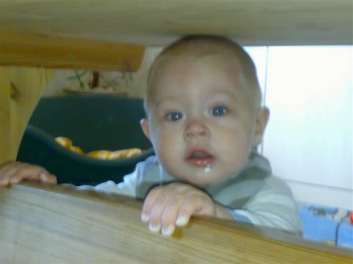 Dreng magnus - magnus gik under bordet.. billede 13