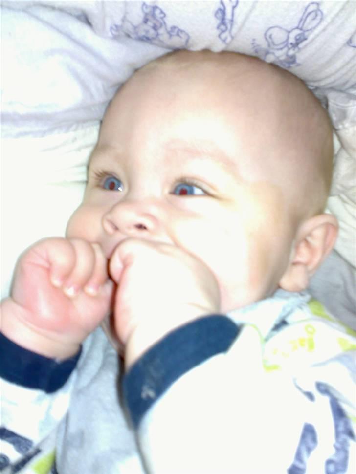 Dreng magnus billede 17