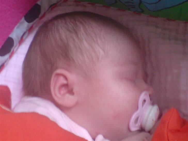 Pige Josephine sofie  - zzzzzzzzzzzzzzzzzzzzzzzzzzzzzzzzzzzzzzzzzzzzzzzzzzzzzzzzzzzzzzzzz billede 14