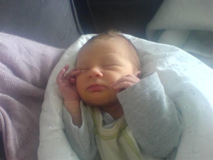 Pige Emily - nu er jeg dejlig mæt og tilfreds.. så godnat ZzZzZ billede 4