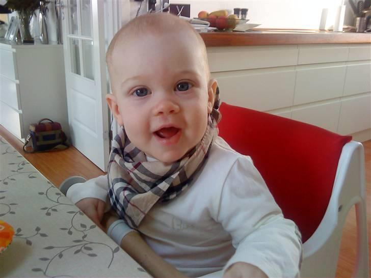 Pige Josephine sofie  billede 15