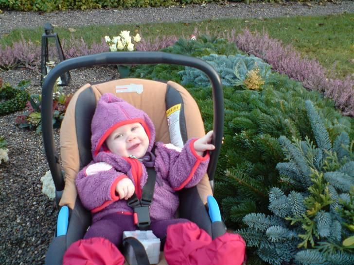 Pige Josephine sofie  - Er ude og besøge farmor. hun blev kun 48 og jeg var 7 mdr.... øv vi ikke fik mere tid sammen =( billede 18