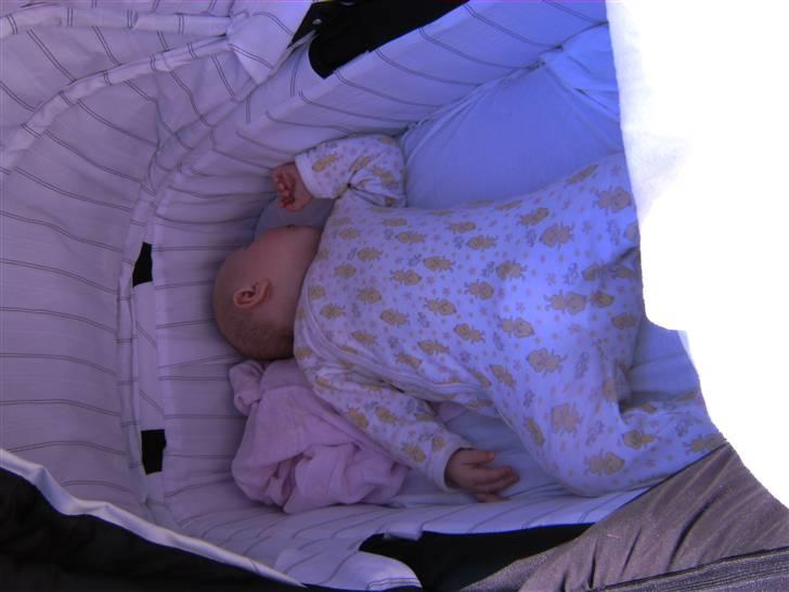 Pige sophie billede 1