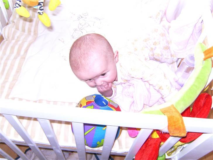 Pige sophie billede 4