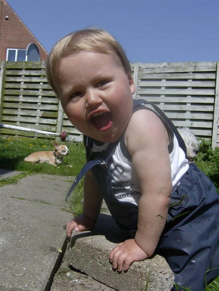 Dreng Anton Louis A. L. billede 6