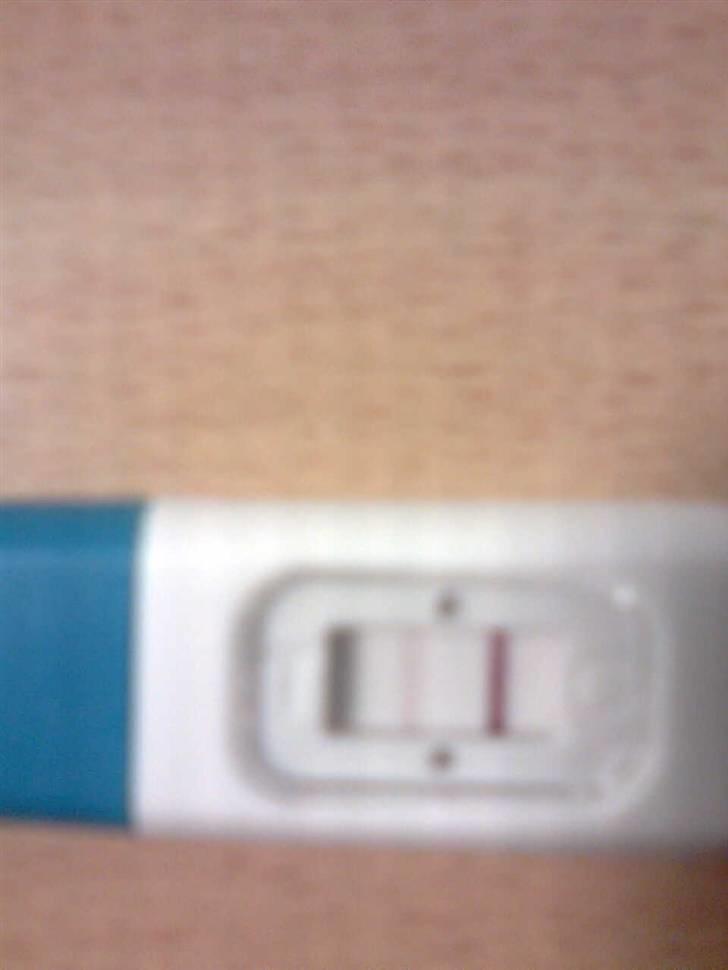 Pige Sille billede 2