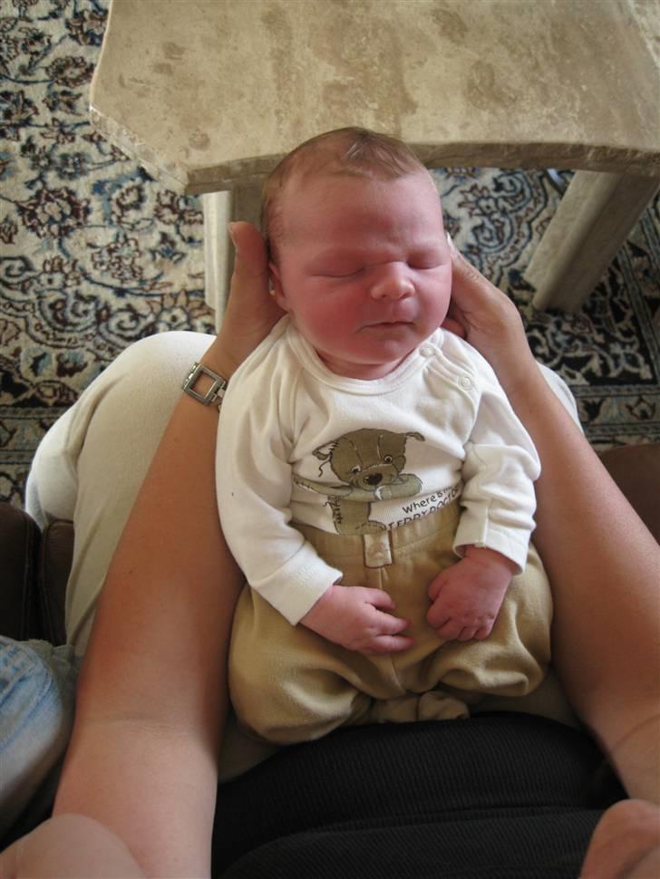 Dreng Sebastian  billede 1