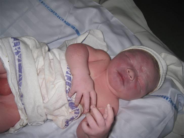 Dreng Sebastian  billede 4