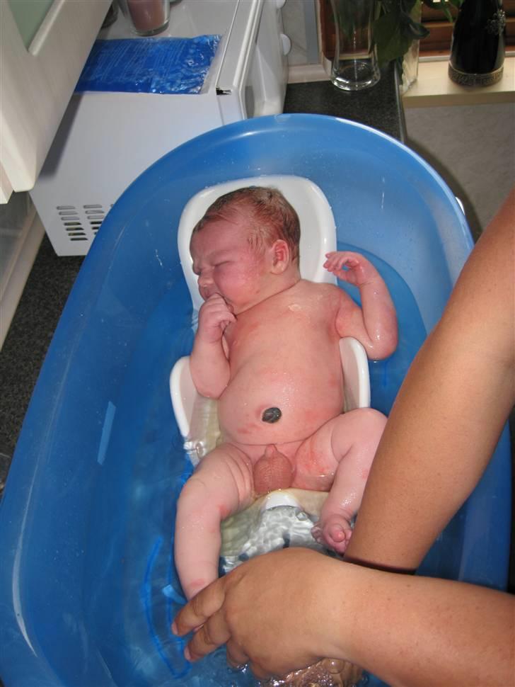 Dreng Sebastian  billede 7