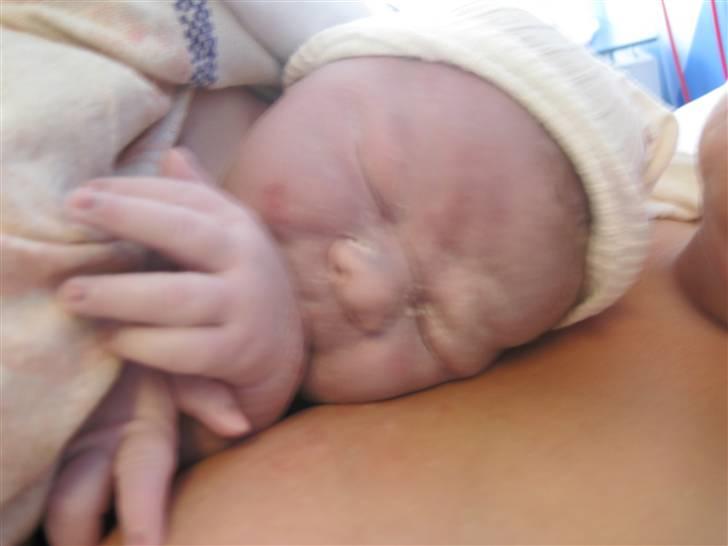 Dreng Sebastian  billede 11