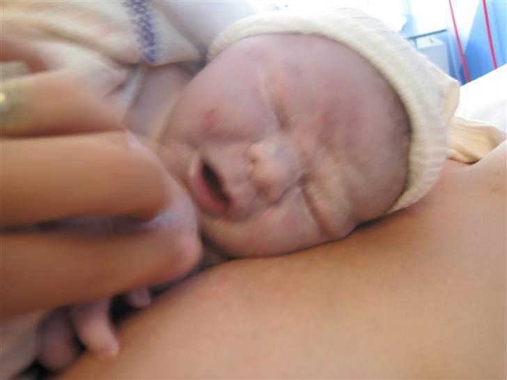 Dreng Sebastian  billede 12