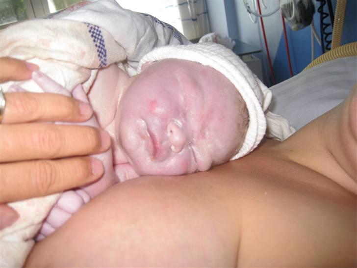 Dreng Sebastian  billede 13