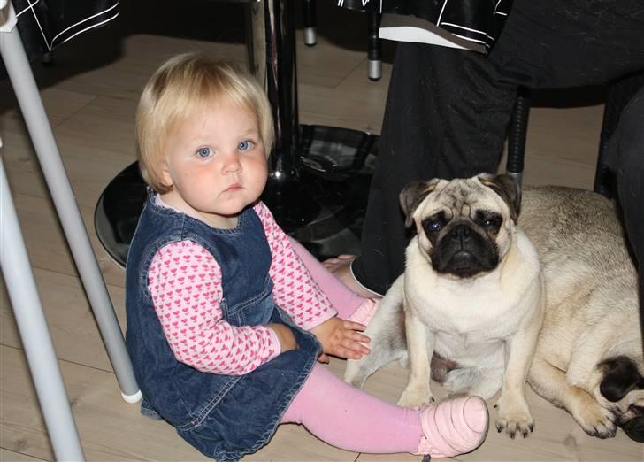 Pige Daniella billede 9
