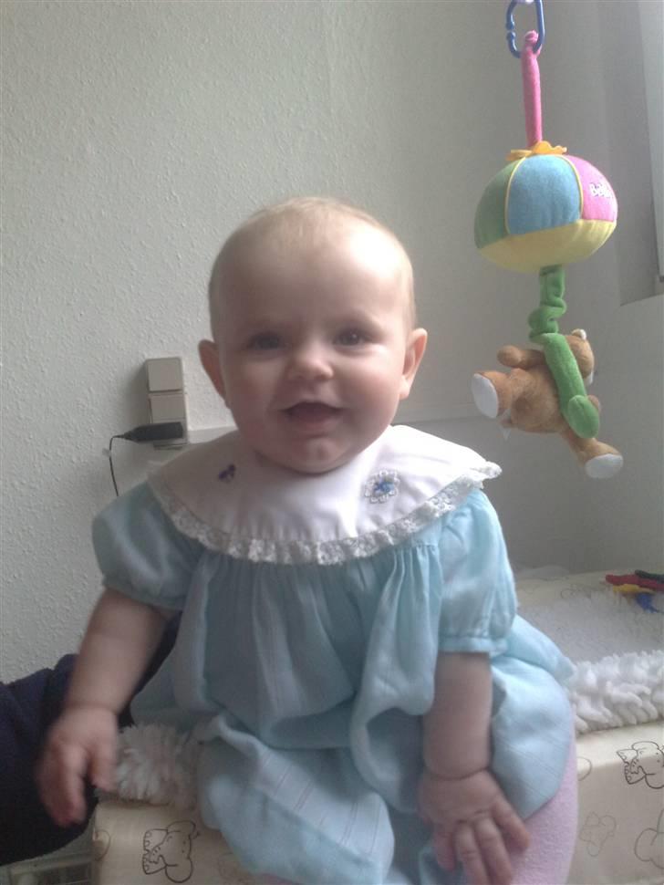 Pige Maya isabella billede 3